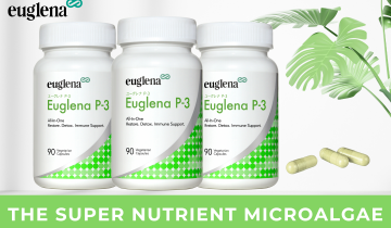 Euglena